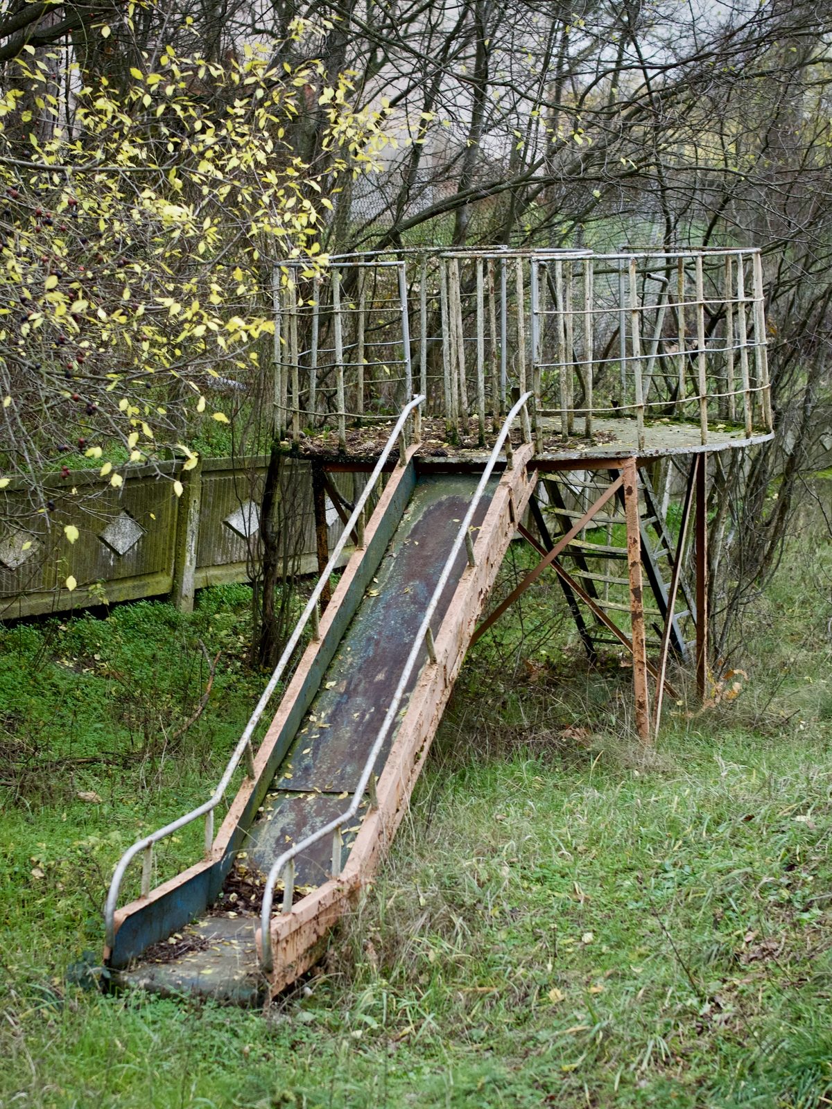 A rusted playground slide climbing into bare trees