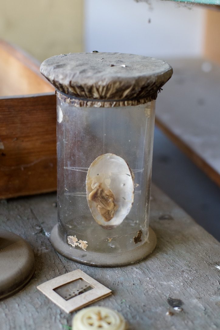 A specimen jar with a shell, left on a dusty lab bench